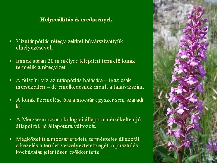 Helyreállítás és eredmények • Vízutánpótlás rétegvizekkel búvárszivattyúk elhelyezésével, • Ennek során 20 m mélyre