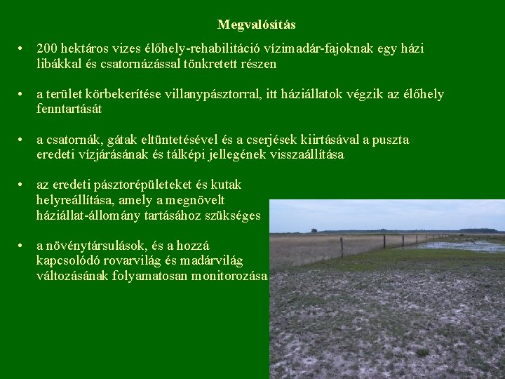 Megvalósítás • 200 hektáros vizes élőhely-rehabilitáció vízimadár-fajoknak egy házi libákkal és csatornázással tönkretett részen