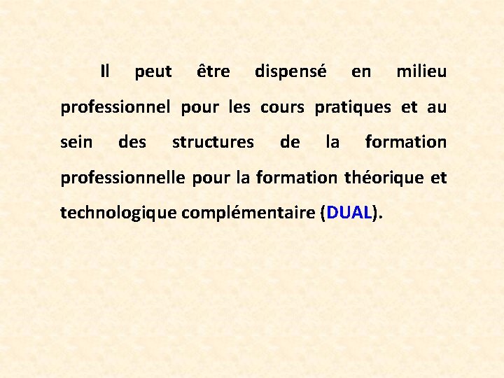 Il peut être dispensé en milieu professionnel pour les cours pratiques et au sein