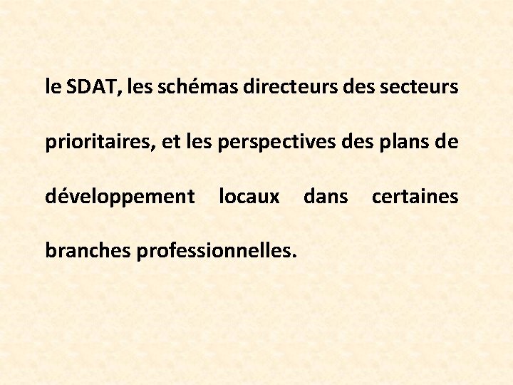 le SDAT, les schémas directeurs des secteurs prioritaires, et les perspectives des plans de