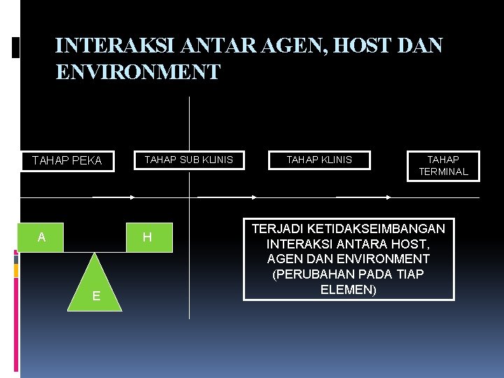 INTERAKSI ANTAR AGEN, HOST DAN ENVIRONMENT TAHAP PEKA A TAHAP SUB KLINIS H E