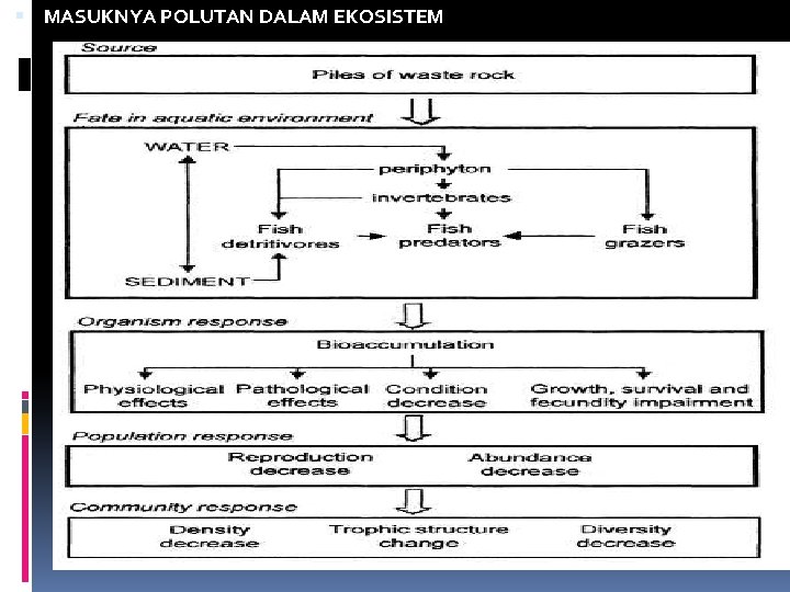  MASUKNYA POLUTAN DALAM EKOSISTEM 