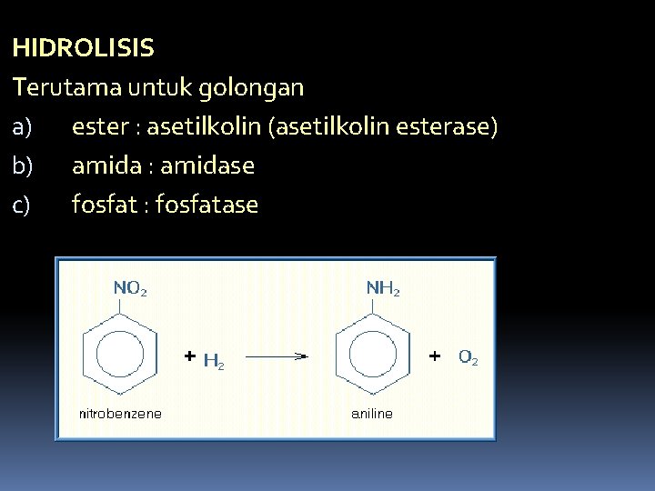 HIDROLISIS Terutama untuk golongan a) ester : asetilkolin (asetilkolin esterase) b) amida : amidase