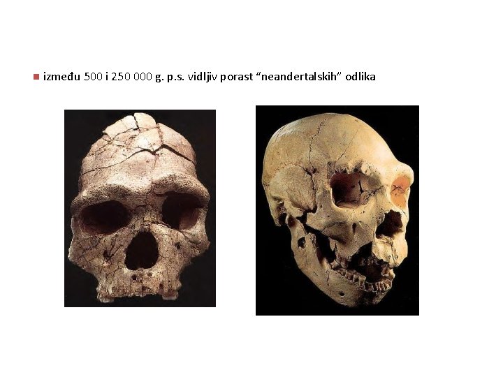 n između 500 i 250 000 g. p. s. vidljiv porast “neandertalskih” odlika 