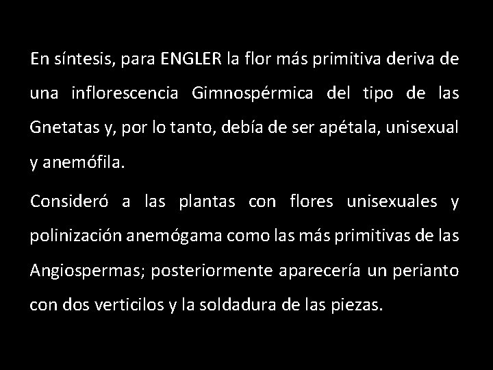 En síntesis, para ENGLER la flor más primitiva deriva de una inflorescencia Gimnospérmica del