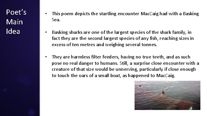 Poet’s Main Idea • This poem depicts the startling encounter Mac. Caig had with