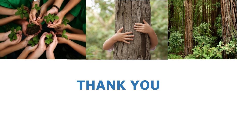 THANK YOU © United Nations Development 12 Programme 