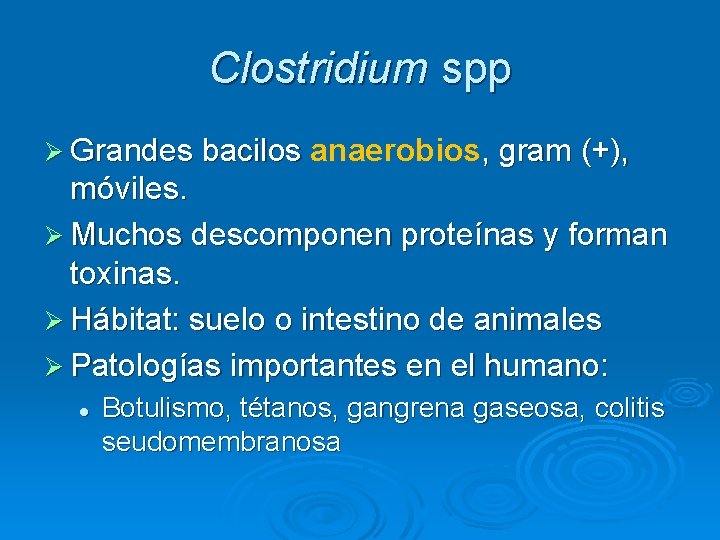 Clostridium spp Ø Grandes bacilos anaerobios , gram (+), Grandes bacilos móviles. Ø Muchos