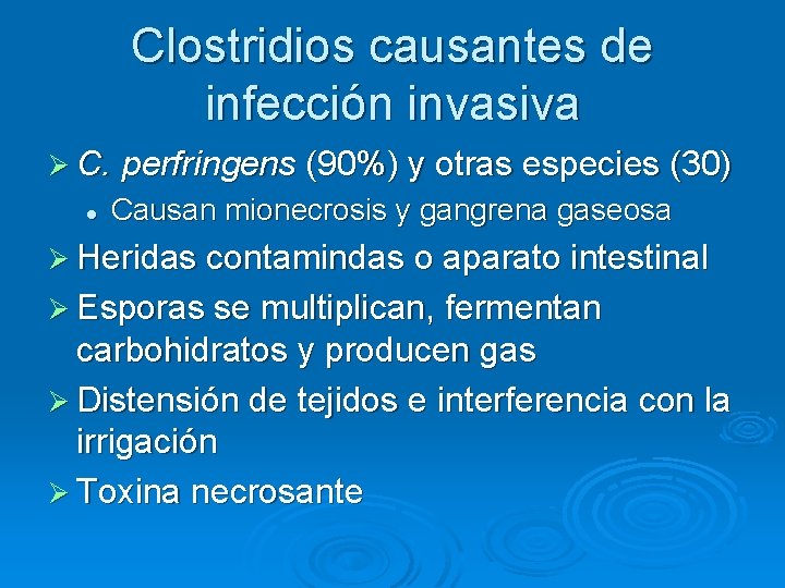 Clostridios causantes de infección invasiva Ø C. perfringens (90%) y otras especies (30) l