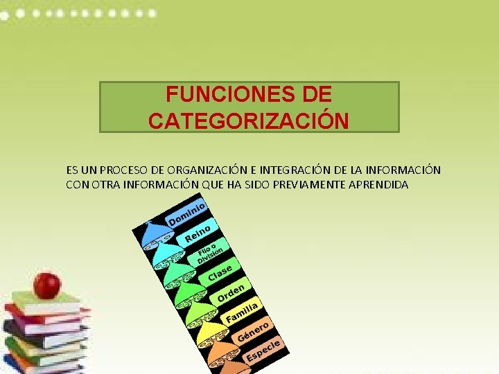 FUNCIONES DE CATEGORIZACIÓN ES UN PROCESO DE ORGANIZACIÓN E INTEGRACIÓN DE LA INFORMACIÓN CON