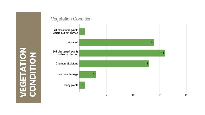 VEGETATION CONDITION 