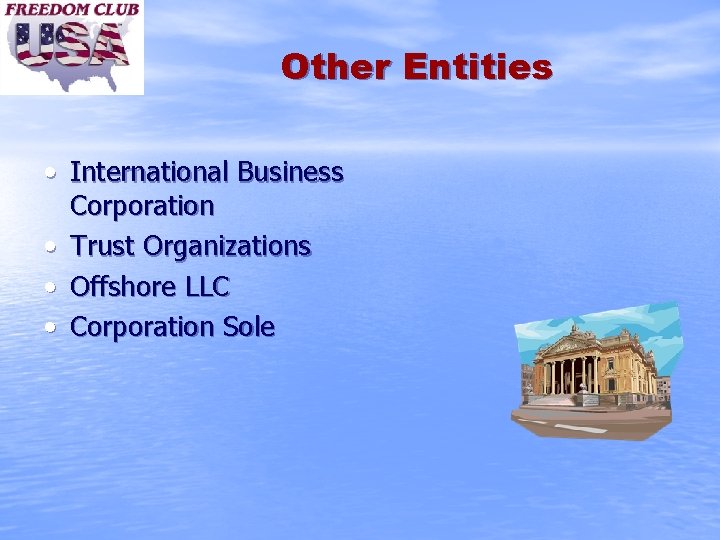 Other Entities • International Business Corporation • Trust Organizations • Offshore LLC • Corporation