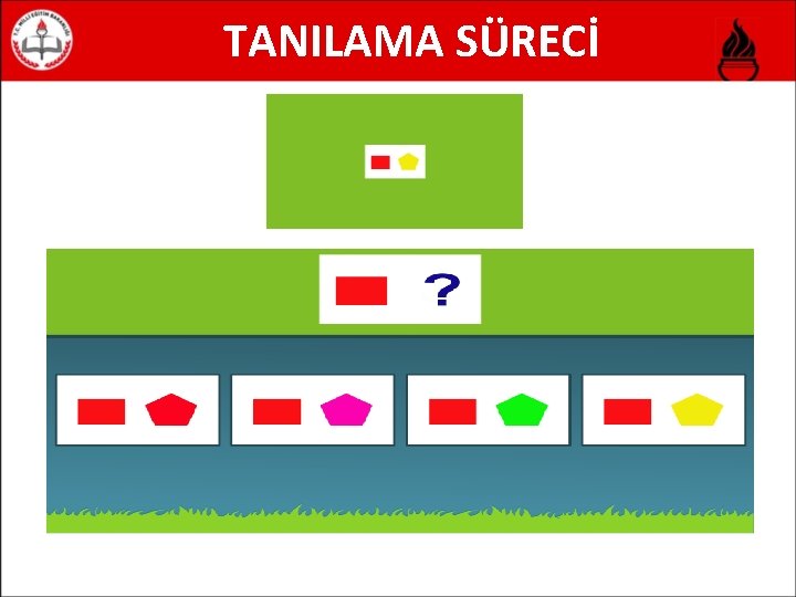 TANILAMA SÜRECİ 