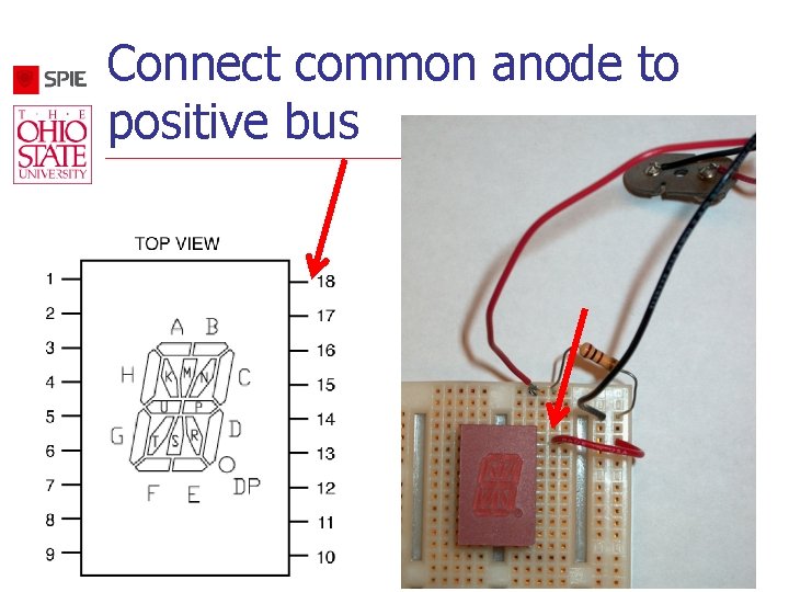 Connect common anode to positive bus 