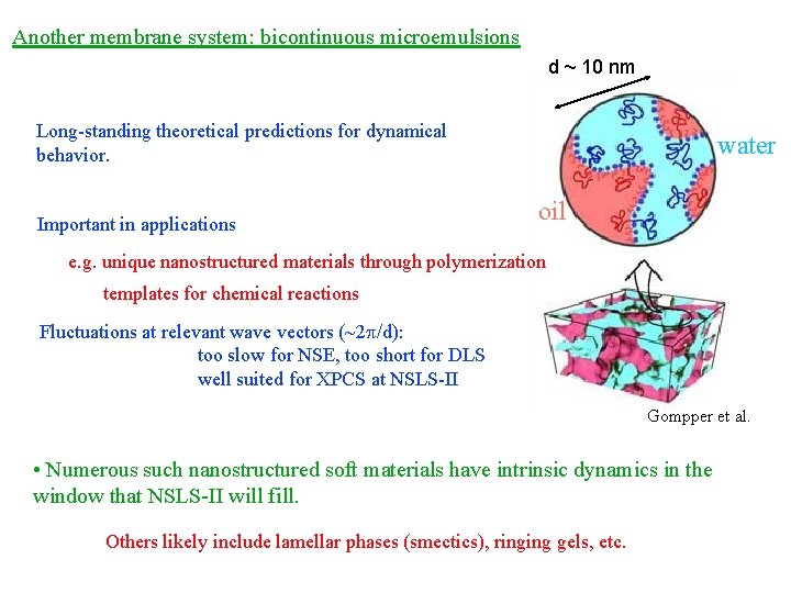 Another membrane system: bicontinuous microemulsions d ~ 10 nm Long-standing theoretical predictions for dynamical