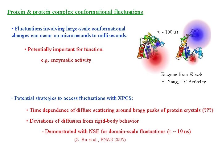 Protein & protein complex conformational fluctuations • Fluctuations involving large-scale conformational changes can occur