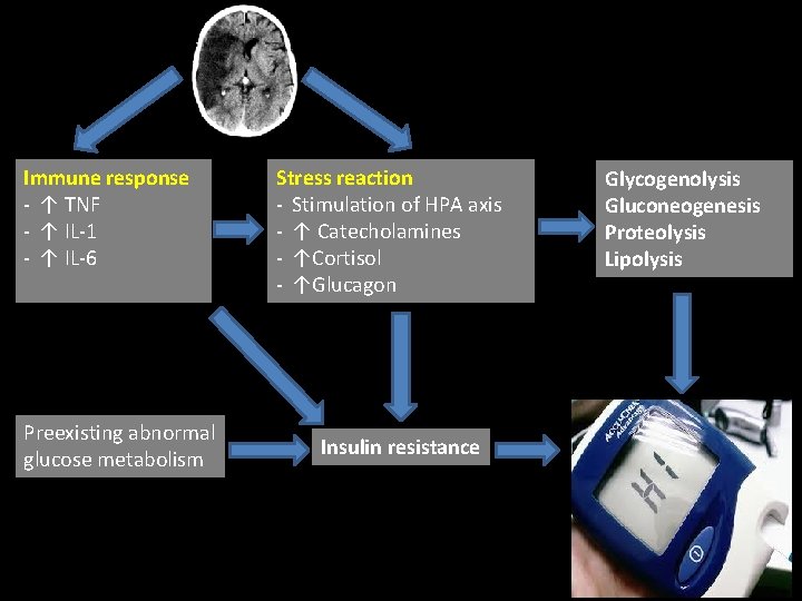 Immune response - ↑ TNF - ↑ IL-1 - ↑ IL-6 Preexisting abnormal glucose