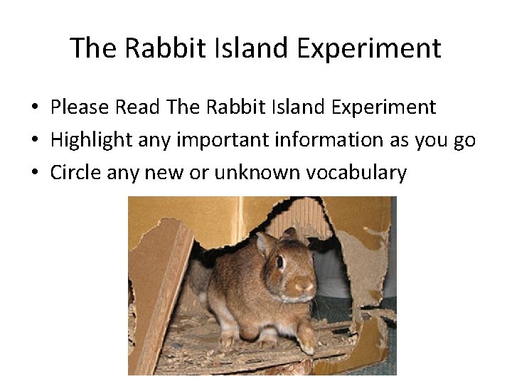 The Rabbit Island Experiment • Please Read The Rabbit Island Experiment • Highlight any