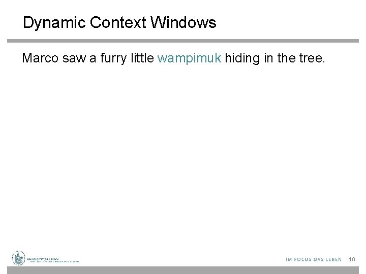 Dynamic Context Windows Marco saw a furry little wampimuk hiding in the tree. 40