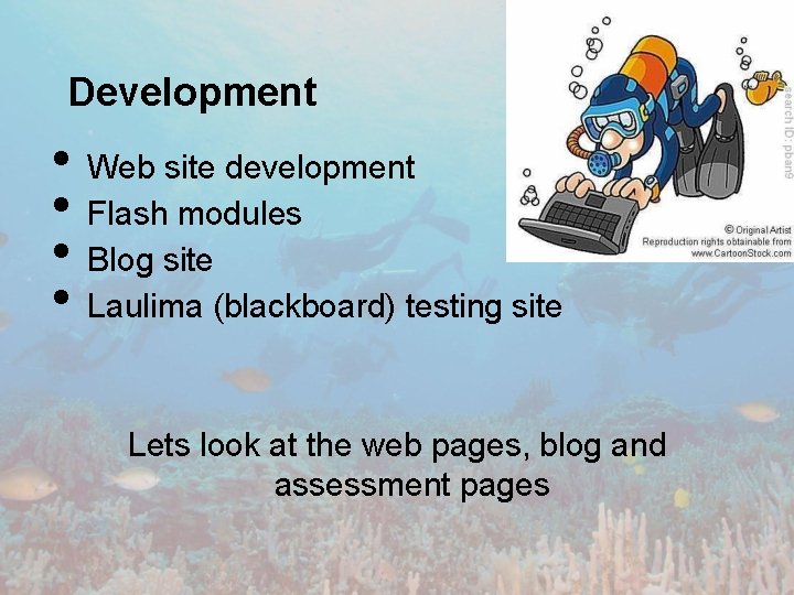 Development • • Web site development Flash modules Blog site Laulima (blackboard) testing site