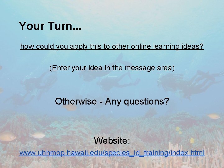 Your Turn. . . how could you apply this to other online learning ideas?