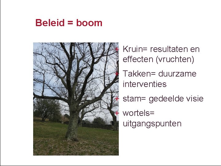 Beleid = boom + Kruin= resultaten en effecten (vruchten) + Takken= duurzame interventies +