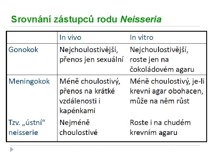 Srovnání zástupců rodu Neisseria 