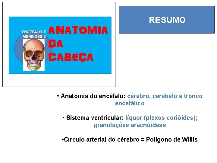 RESUMO • Anatomia do encéfalo: cérebro, cerebelo e tronco encefálico • Sistema ventricular: líquor