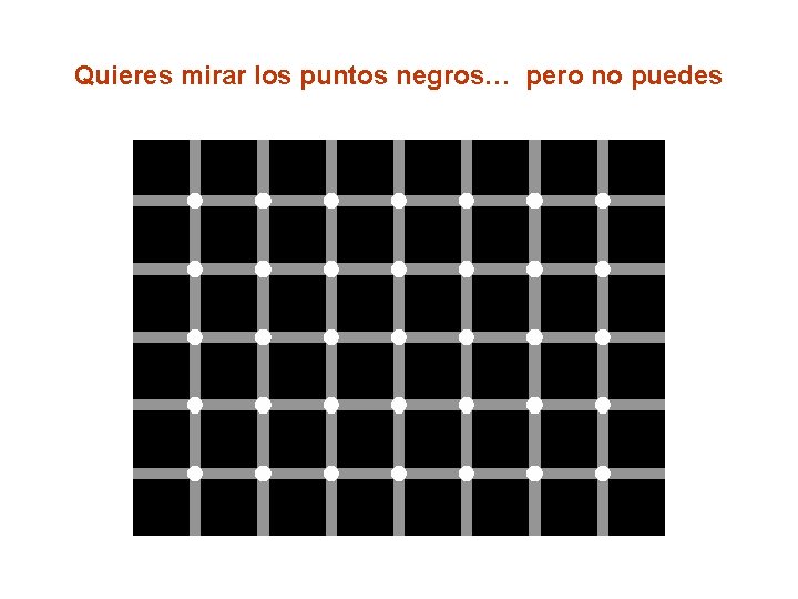 Quieres mirar los puntos negros… pero no puedes 