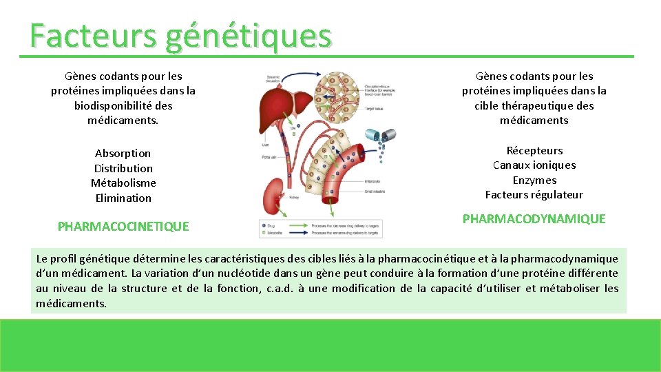 Facteurs génétiques Gènes codants pour les protéines impliquées dans la biodisponibilité des médicaments. Gènes