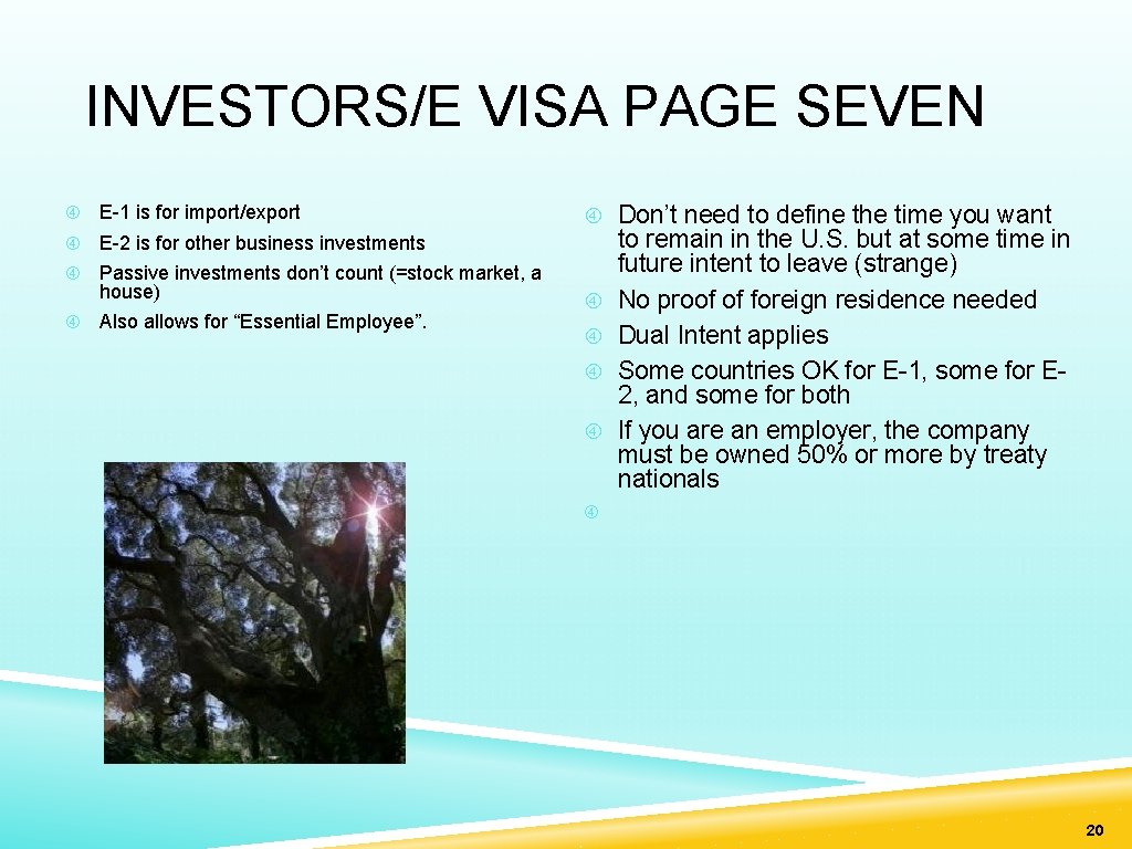 INVESTORS/E VISA PAGE SEVEN E-1 is for import/export E-2 is for other business investments