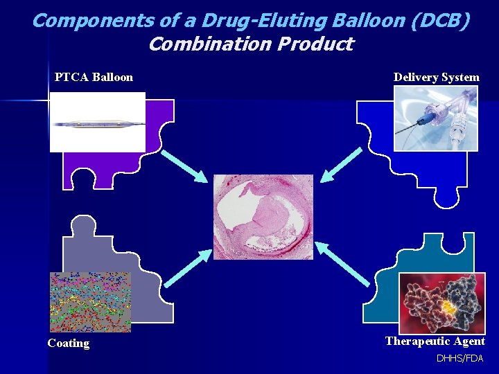 Components of a Drug-Eluting Balloon (DCB) Combination Product PTCA Balloon Coating Delivery System Therapeutic