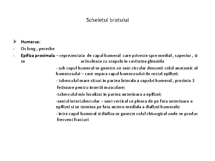 Scheletul bratului Ø Humerus: - Os lung , pereche - Epifiza proximala – reprezentata