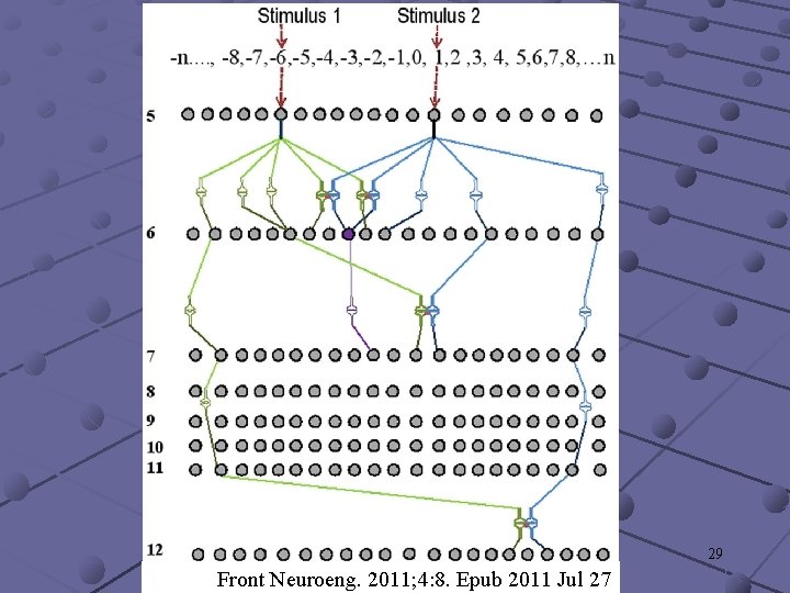 29 Front Neuroeng. 2011; 4: 8. Epub 2011 Jul 27 