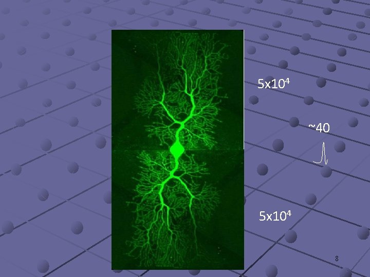 5 x 104 ~40 5 x 104 8 