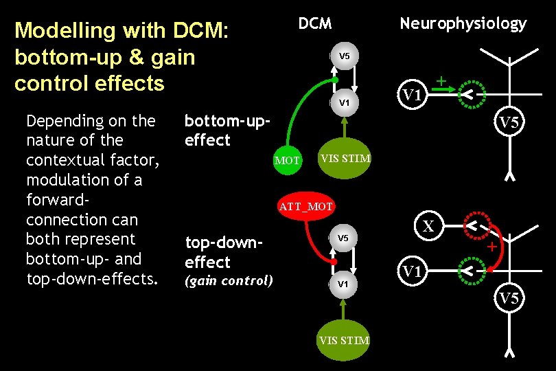 Modelling with DCM: bottom-up & gain control effects DCM Neurophysiology V 5 V 1