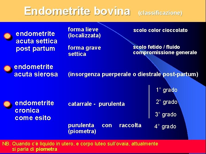 Endometrite bovina endometrite acuta settica post partum endometrite acuta sierosa (classificazione) forma lieve (localizzata)