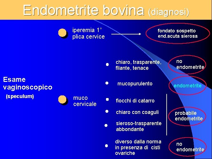 Endometrite bovina (diagnosi) iperemia 1° plica cervice fondato sospetto end. acuta sierosa chiaro, trasparente,