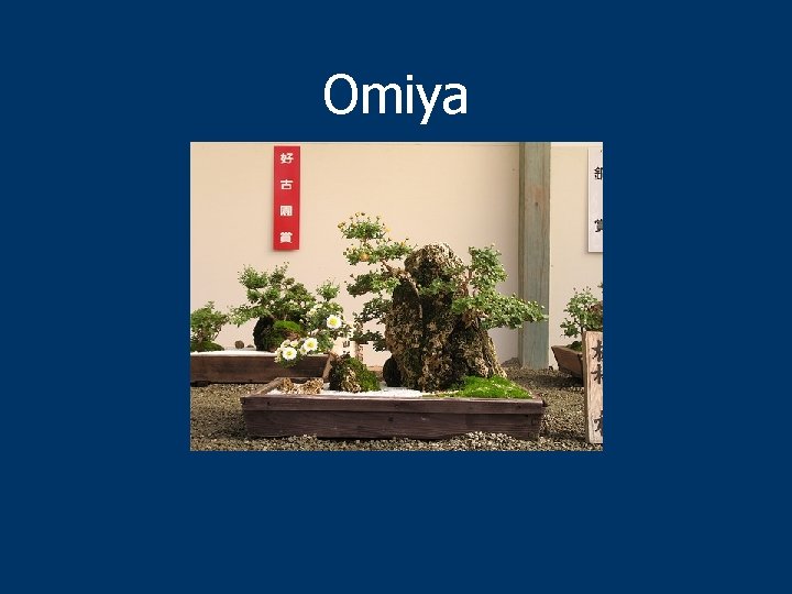 Omiya 