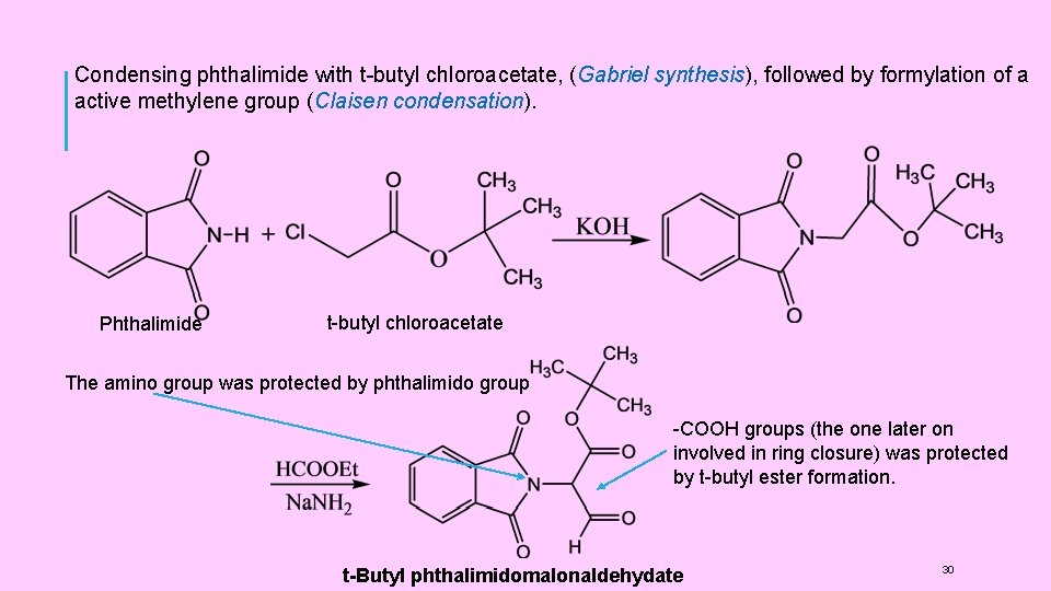 Condensing phthalimide with t-butyl chloroacetate, (Gabriel synthesis), followed by formylation of a active methylene