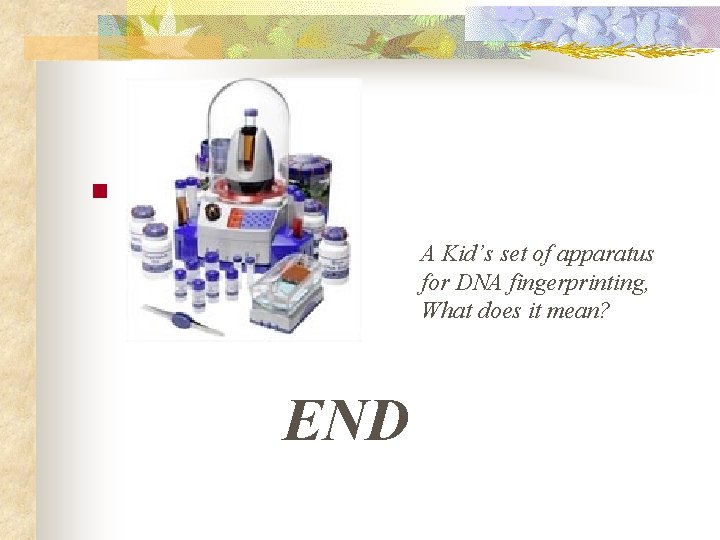 n A Kid’s set of apparatus for DNA fingerprinting, What does it mean? END