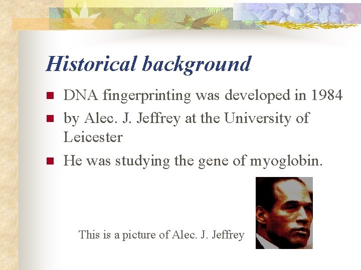 Historical background n n n DNA fingerprinting was developed in 1984 by Alec. J.