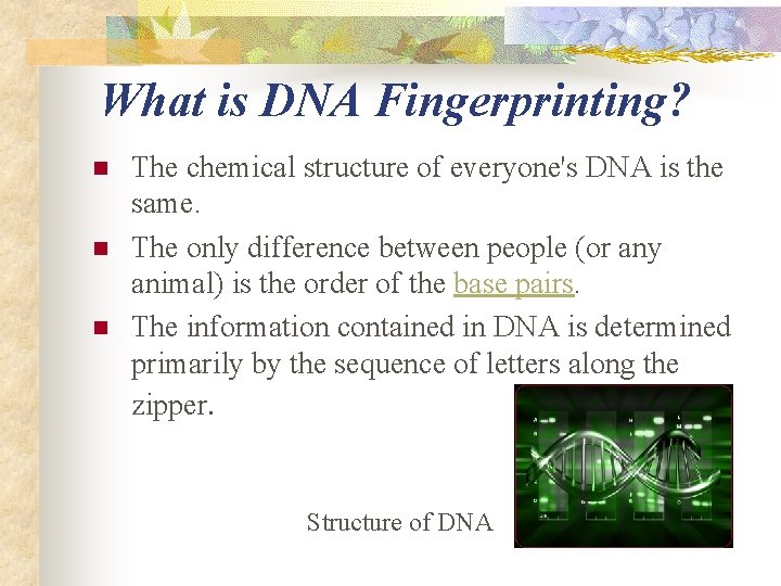What is DNA Fingerprinting? n n n The chemical structure of everyone's DNA is