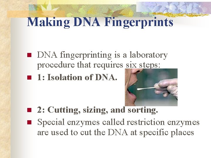 Making DNA Fingerprints n n DNA fingerprinting is a laboratory procedure that requires six