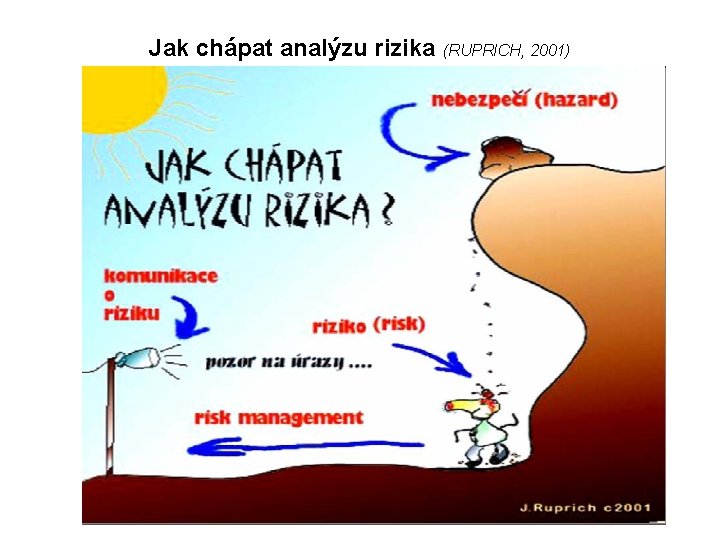 Jak chápat analýzu rizika (RUPRICH, 2001) 