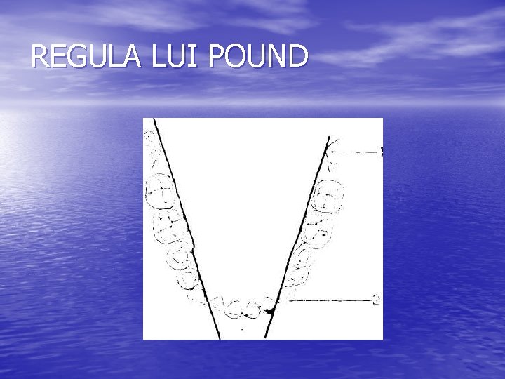 REGULA LUI POUND 