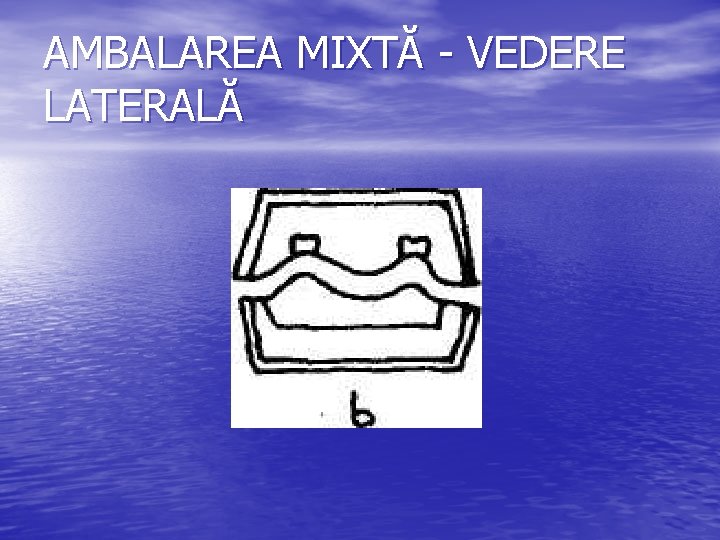 AMBALAREA MIXTĂ - VEDERE LATERALĂ 