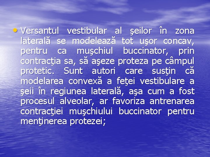  • Versantul vestibular al şeilor în zona laterală se modelează tot uşor concav,