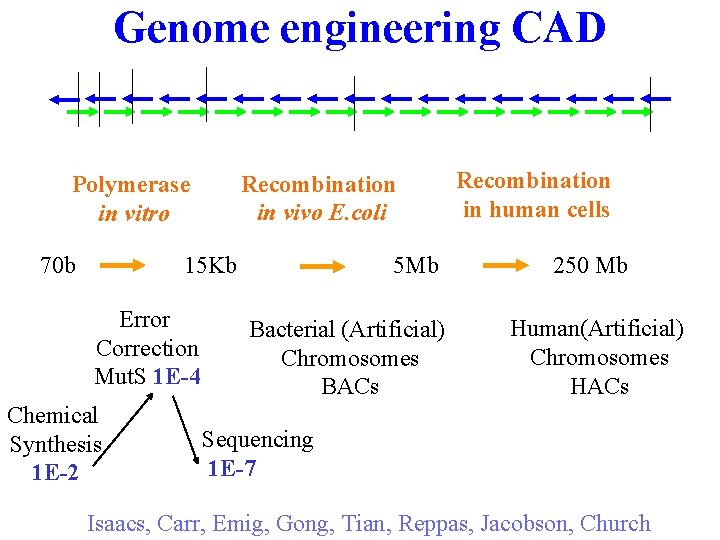 Genome engineering CAD Polymerase in vitro Recombination in vivo E. coli 70 b 15