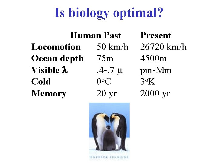 Is biology optimal? Human Past Locomotion 50 km/h Ocean depth 75 m Visible l.